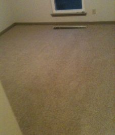 Cleaning Carpets in Atlanta